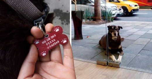 Este perrito solo quería pizza pero sus dueños creían que ya estaba muy gordo