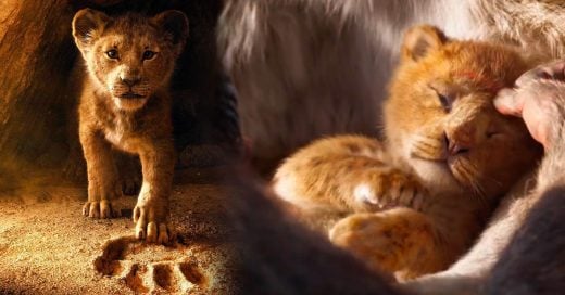 Primer teaser tráiler de 'El rey león'; Disney promete mantener la magia del original