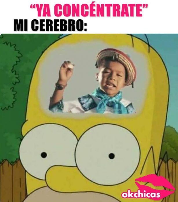 captura de pantalla memes okchicas homero simpson