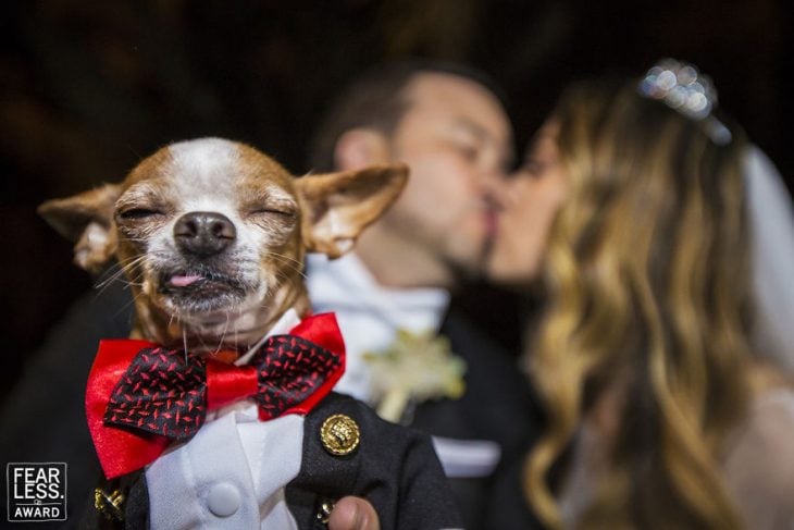 perro con traje y moño y hombre besando a mujer 