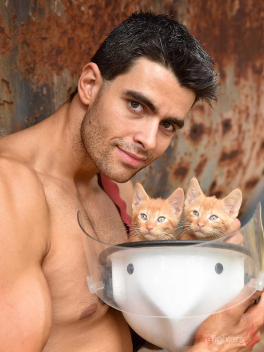 Bombero australiano posa para calendario en beneficencia de animales con gatos anaranjados