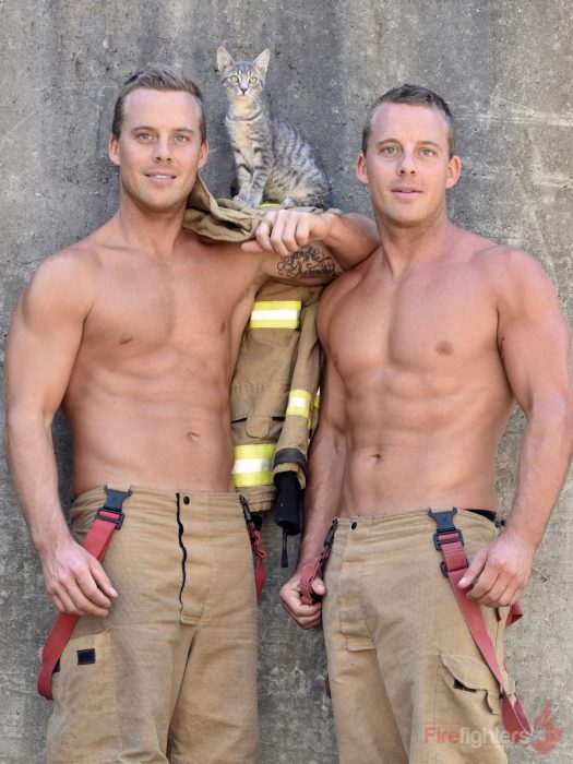 Bombero australiano posa para calendario en beneficencia de animales con gato café