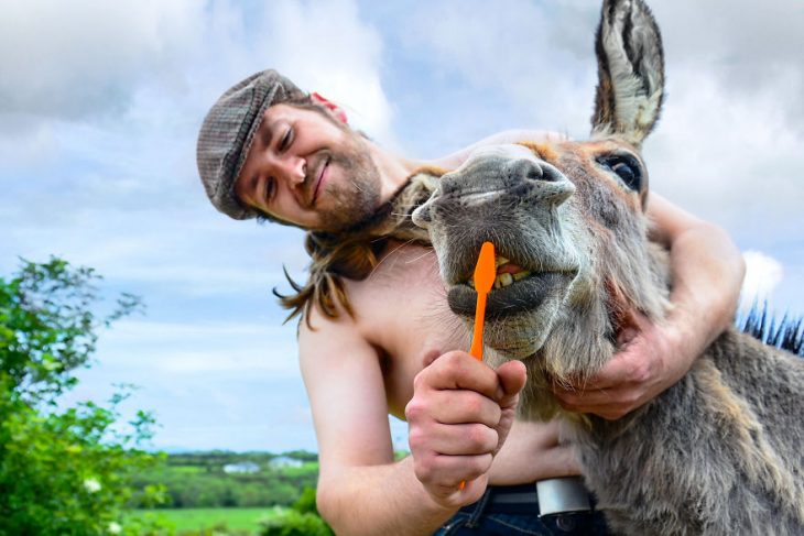 Hombre posando para un calendario irlandés 2019 junto animales de granja 