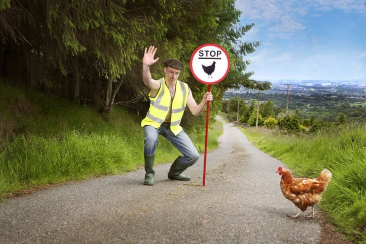 Hombre posando para un calendario irlandés 2019 junto animales de granja 