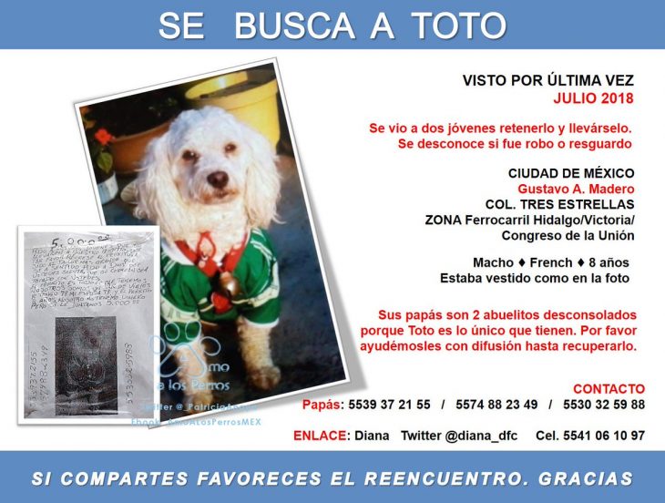 cartel de rescate para salvar a un perro