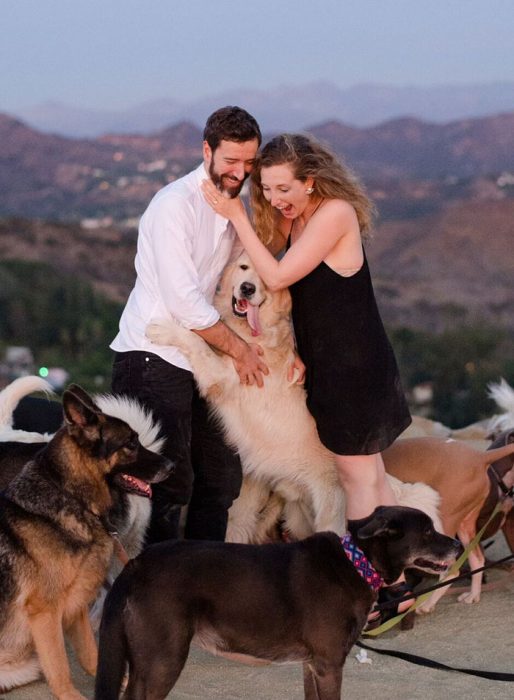 pareja d enovios siendo abrazados por un perro