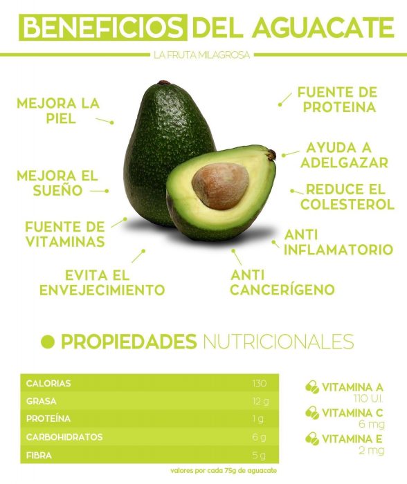 beneficios del aguacate iconografía 