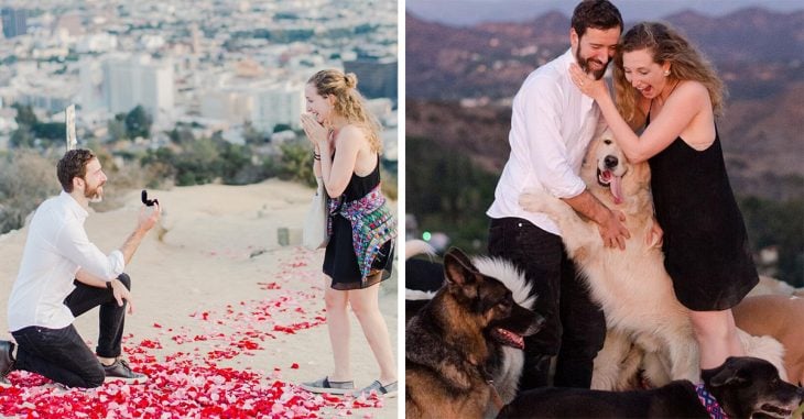 16 Perros ayudaron a un hombre a pedirle matrimonio a su novia
