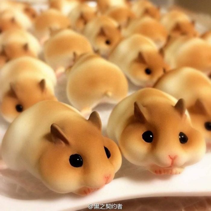 panes en forma de hamsters 
