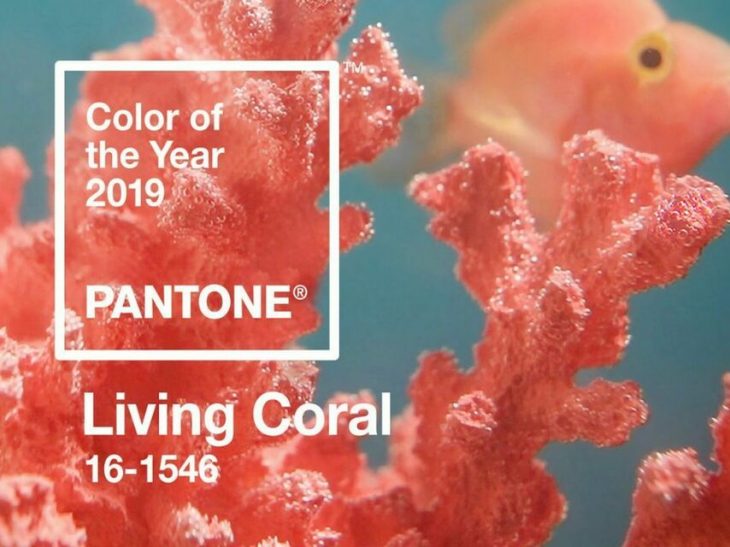 fondo de coral con pantone 