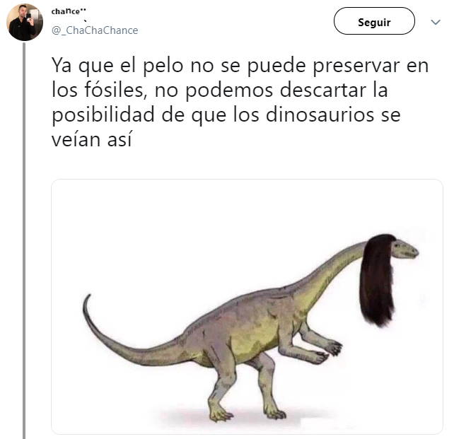 ecplicación en twitter de que los dinosaurios tienen pelo