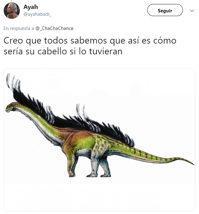 explicación en twitter de que los dinosaurios tienen pelo