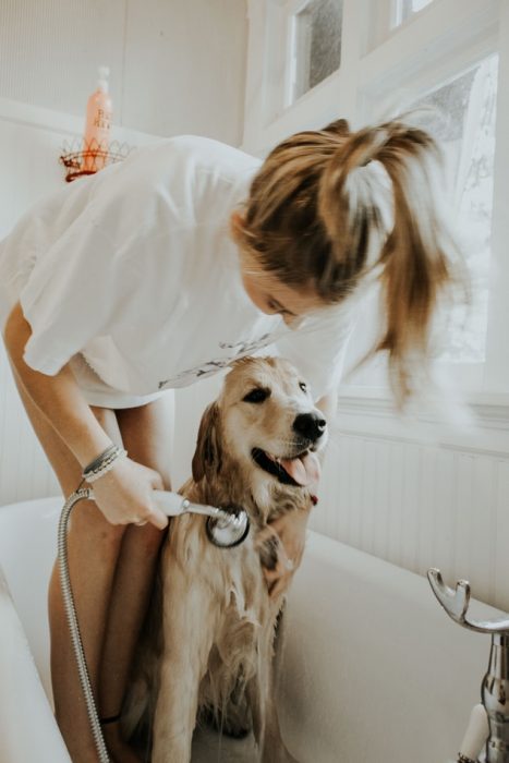 chica bañando a su perro en la regadera