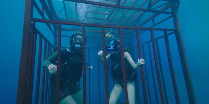 chicas buceando bajo el mar 