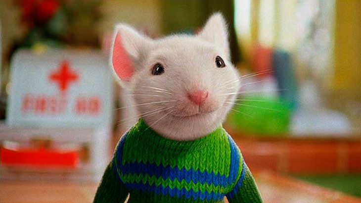 Escena de la película stuart little 