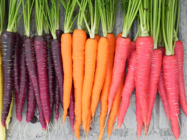 zanahorias de colores 