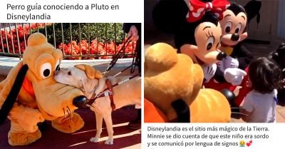 15 Increíbles gestos de empleados Disney que te harán creer que la magia existe