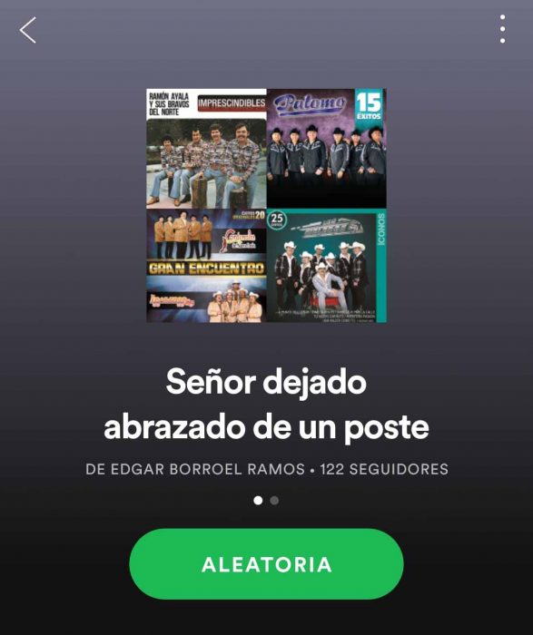 captura de pantalla spotify 