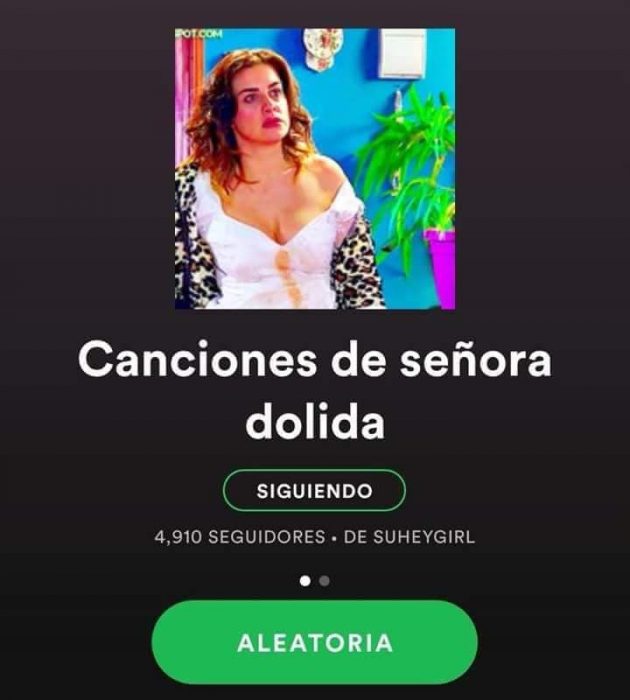 captura de pantalla spotify 