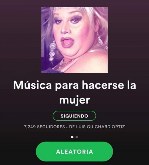 captura de pantalla spotify 