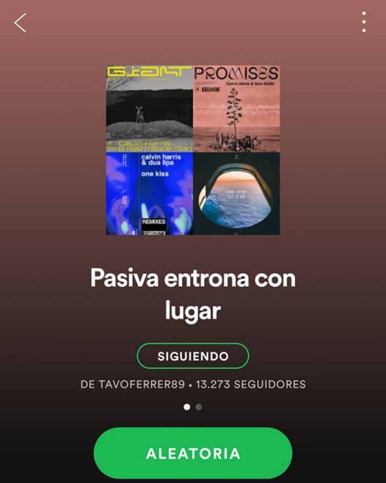 captura de pantalla spotify 