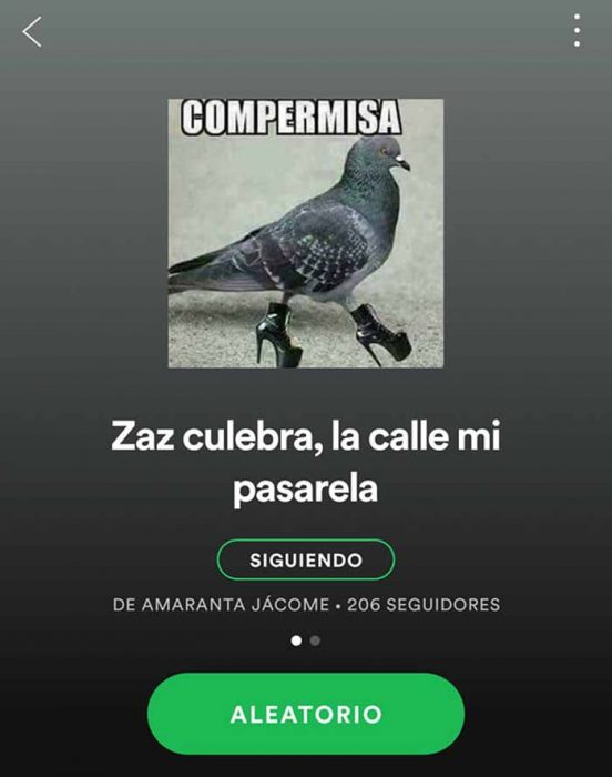 captura de pantalla spotify 