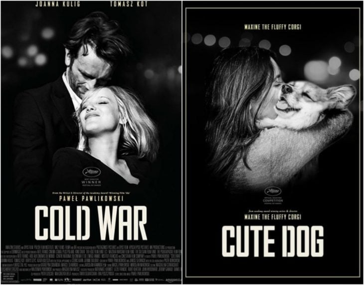 Poster de la película Cold War