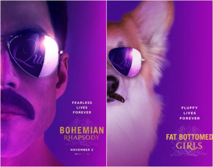 Poster de la película Bohemian Rhapsody 