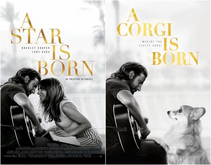 Poster de la película Star is a born