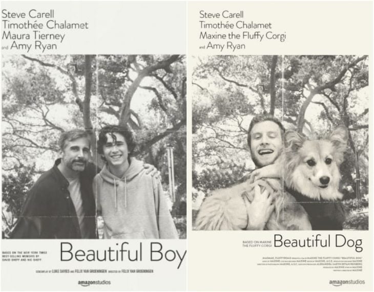 Poster de la película Beautiful boy 