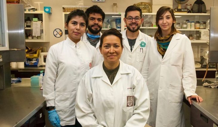 grupo de científicos en un laboratorio