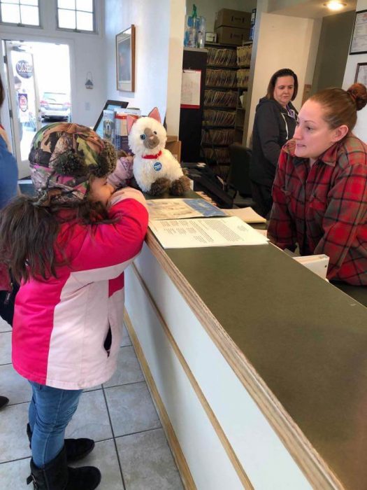 Niña con autismo lleva a su gato siamés de peluche enfermo al veterinario