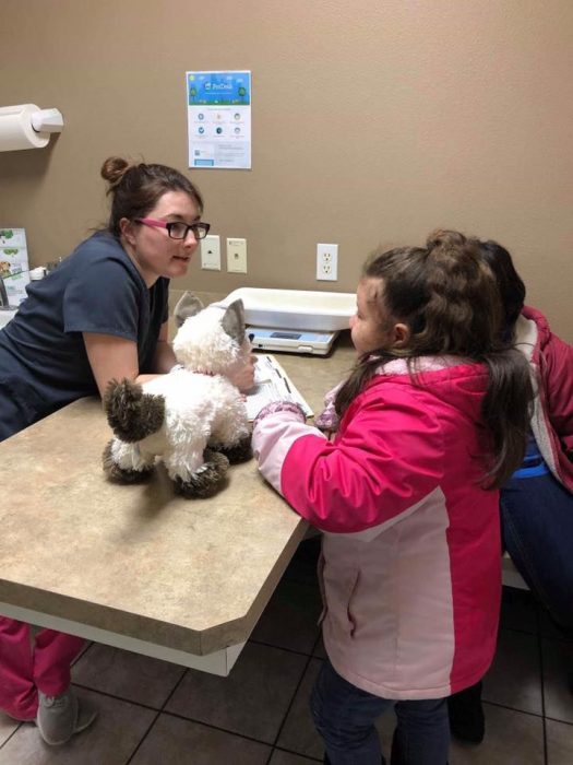 Niña con autismo lleva a su gato siamés de peluche enfermo al veterinario