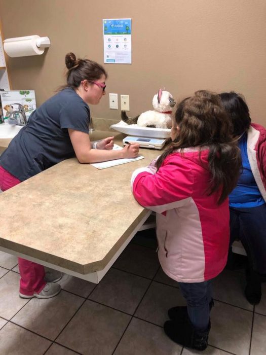 Niña con autismo lleva a su gato siamés de peluche enfermo al veterinario