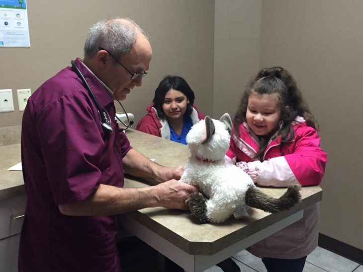 Niña con autismo lleva a su gato siamés de peluche enfermo al veterinario