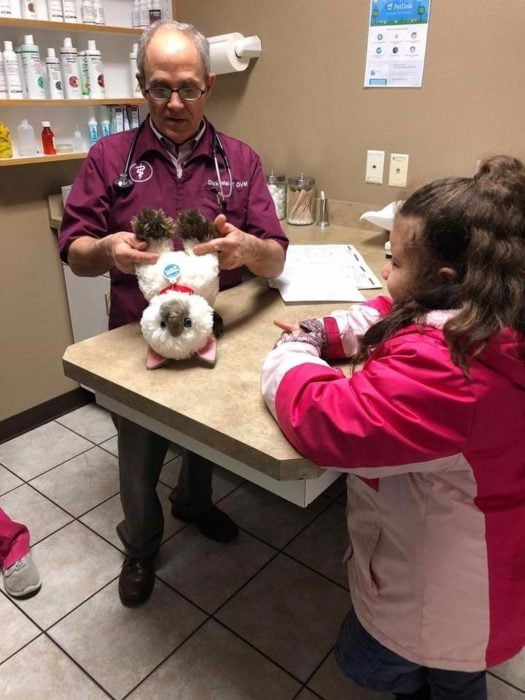 Niña con autismo lleva a su gato siamés de peluche enfermo al veterinario