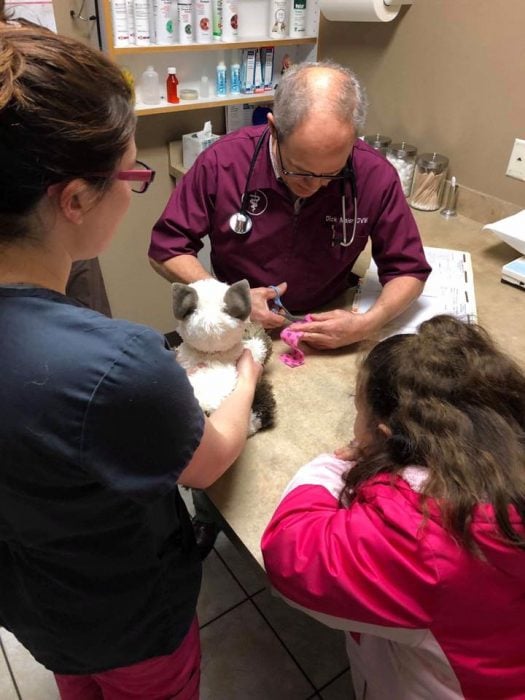 Niña con autismo lleva a su gato siamés de peluche enfermo al veterinario