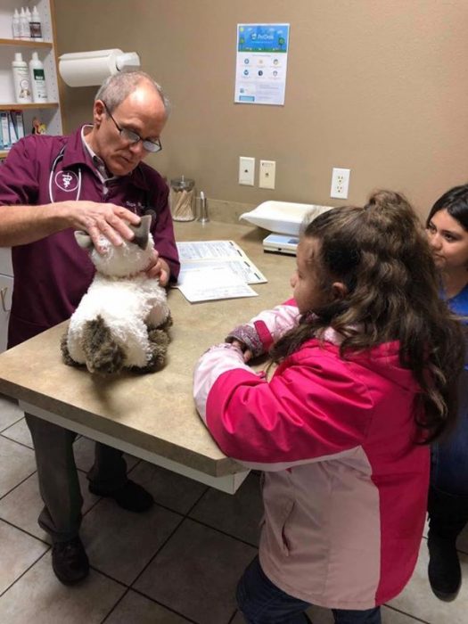 Niña con autismo lleva a su gato siamés de peluche enfermo al veterinario