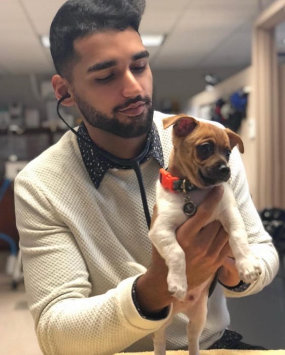 Veterinario revisando a un perro cachorro blanco con café