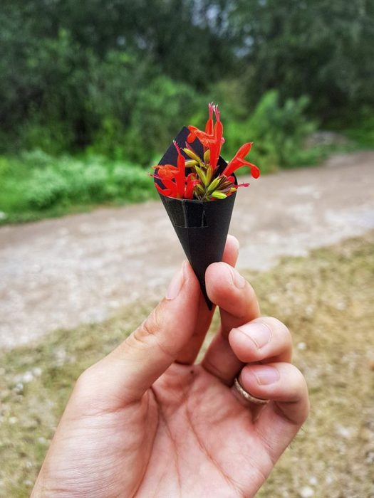 Novio le da regalos sencillos a su novia para hacerla sentir especial