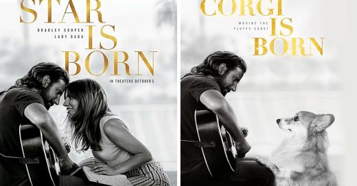 Fotógrafo y su corgi recrean las portadas de las películas más famosas y el resultado es adorable