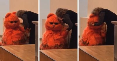 Se disfraza de Garfield para ganar puntos extra y el corazón de la maestra