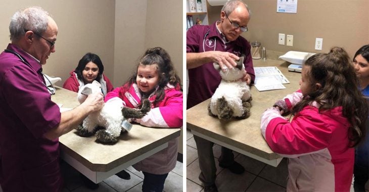 Veterinario atiende al gato de peluche de una niña con autismo