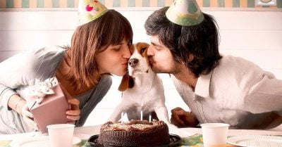 Tratar a tu mascota como un hijo podría ser dañino para tu salud y la de tu perro