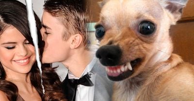 Tu perro puede llegar a odiar a quien te rompe el corazón