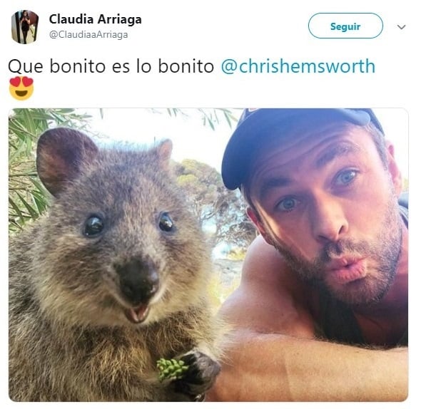 Tuits sobre Chris Hemsworth