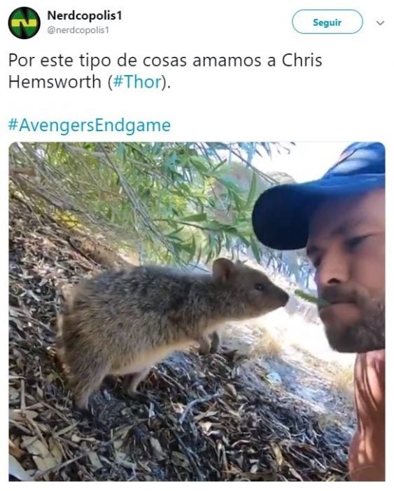 Tuits sobre Chris Hemsworth