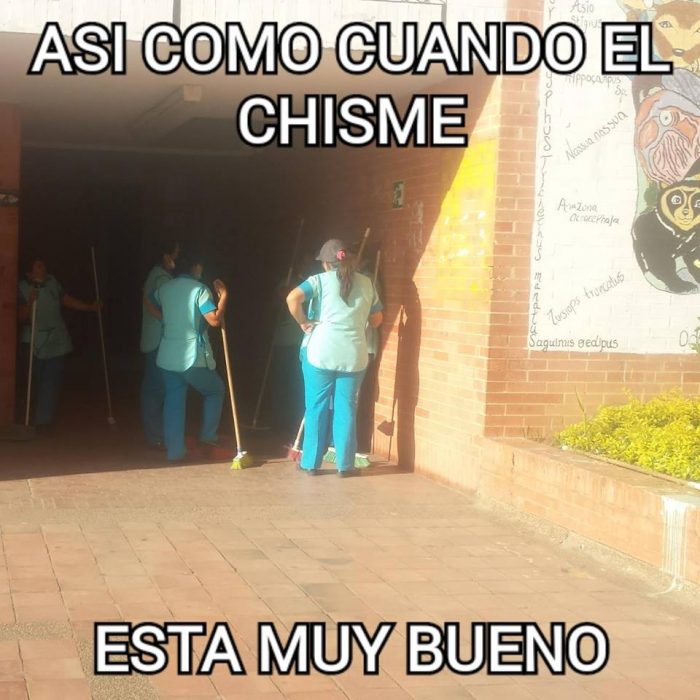 Meme de señoras de la limpieza sujetando sus escobas y reunidas en la puerta de una escuela conversando 