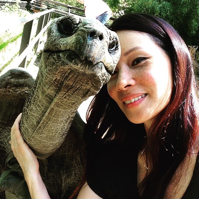 Lucy Liu junto a una tortuga 