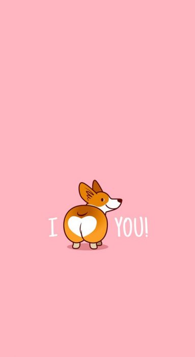 Fondo para celular, wallpaper bonito de perro corgi en fondo rosa con la frase "te amo"